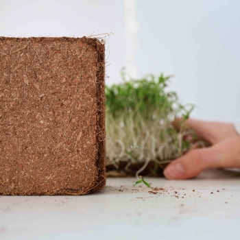 Coco Coir Growing Medium