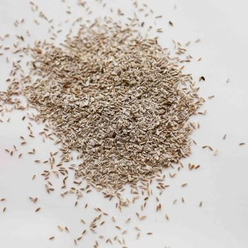 Yarrow White Microgreens Seeds -7384.jpg