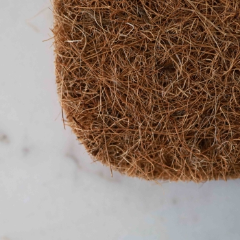 Coco Mat for Growing Microgreens-7485.jpg