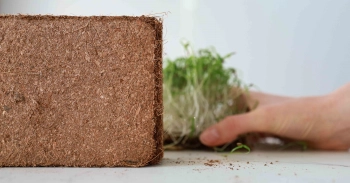 Coco for Growing Microgreens-7458.jpg
