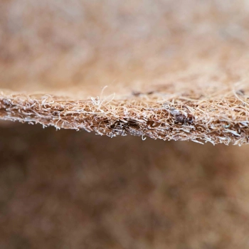 CocoFiber for Growing Microgreens-7501.jpg