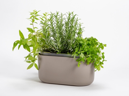 plant terrarium for sale Globe Terrarium Kit | For Sale