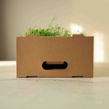 Microgreens-transport-box