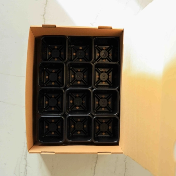 microgreens-delivery-box-for-12--growing-pots