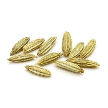 anise-seeds-for-microgreens.png