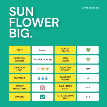 sunflower table