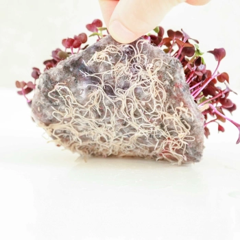 ReFibre microgreens growing mat.jpg