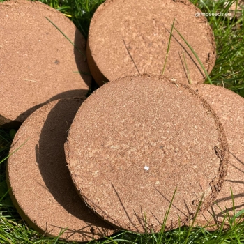 Coco Coir Discs