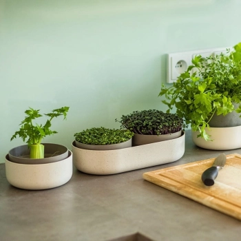 growing-pot-trio