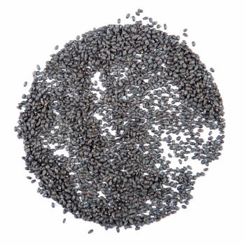 Basil Italian  seeds