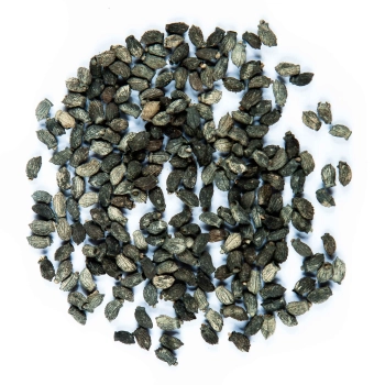 Borage seeds