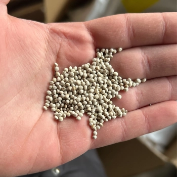 perilla-green-seeds.webp