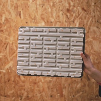 Growing Trays