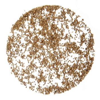 celery seeds
