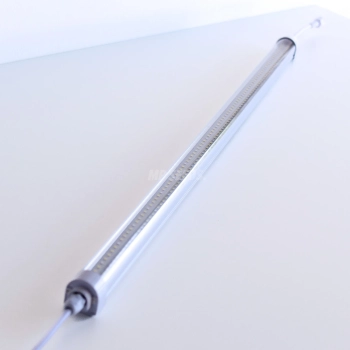 mp-seed-led-lamp.webp