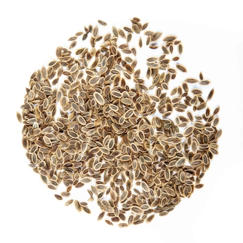 dill seeds