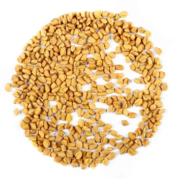 fenugreek microgreens seeds