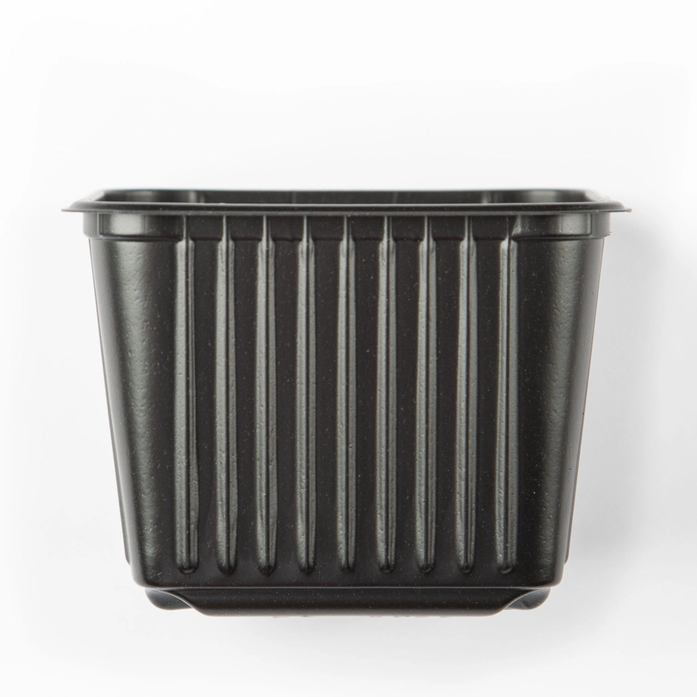 Growing Pots - 8x8cm