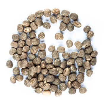 lupine seeds