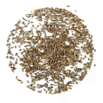 parsley seeds fo microgreens