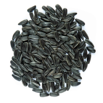 sunflower seeds
