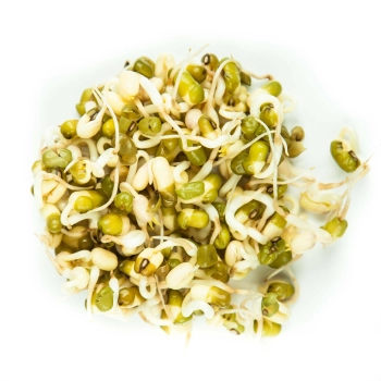Mung Bean sprouts