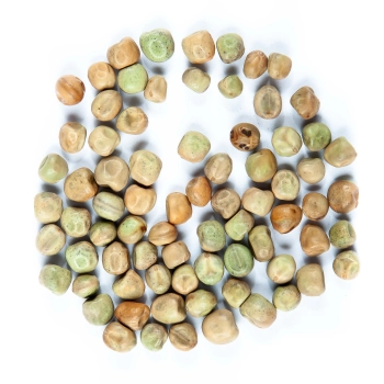 pea shoots seeds