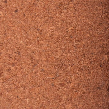 Coco Growing Medium-4979