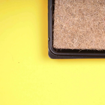 "10x20" Shallow Growing Tray with cocomat