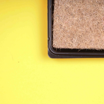 Midi Shallow Growing Tray 46x30cm