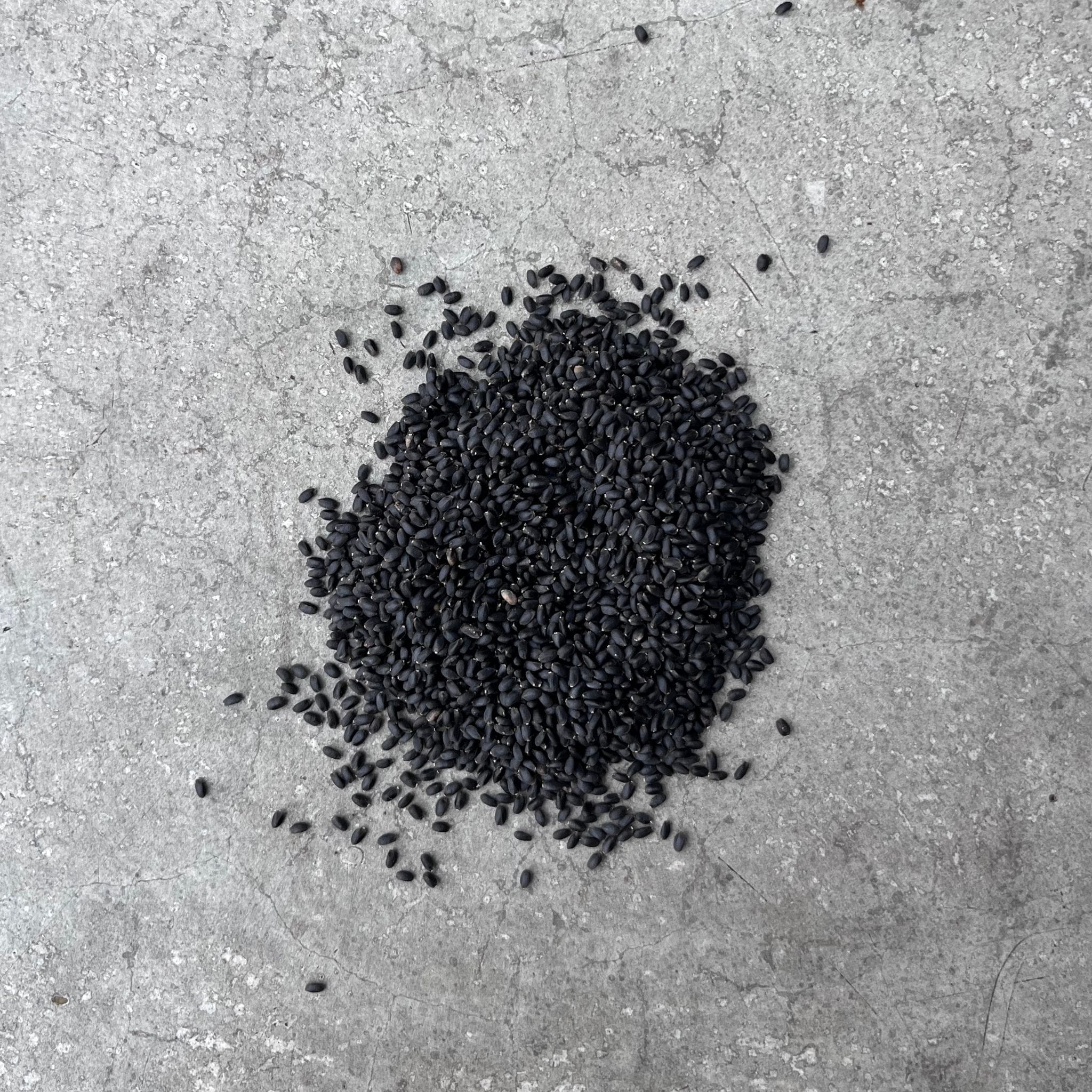 Basil Lemon Seeds