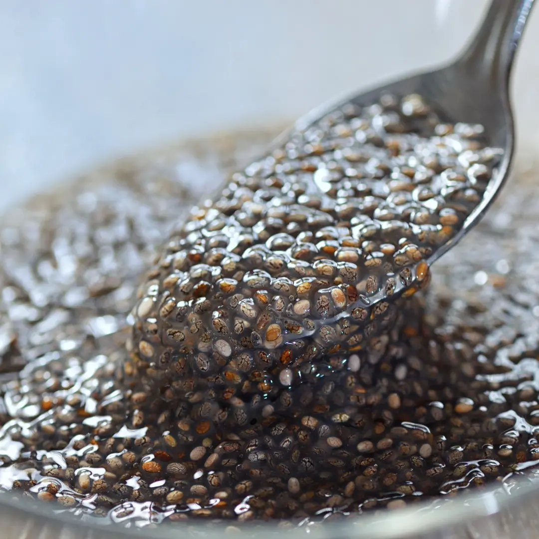 Mucilaginous coating forming around wet basil microgreen seeds