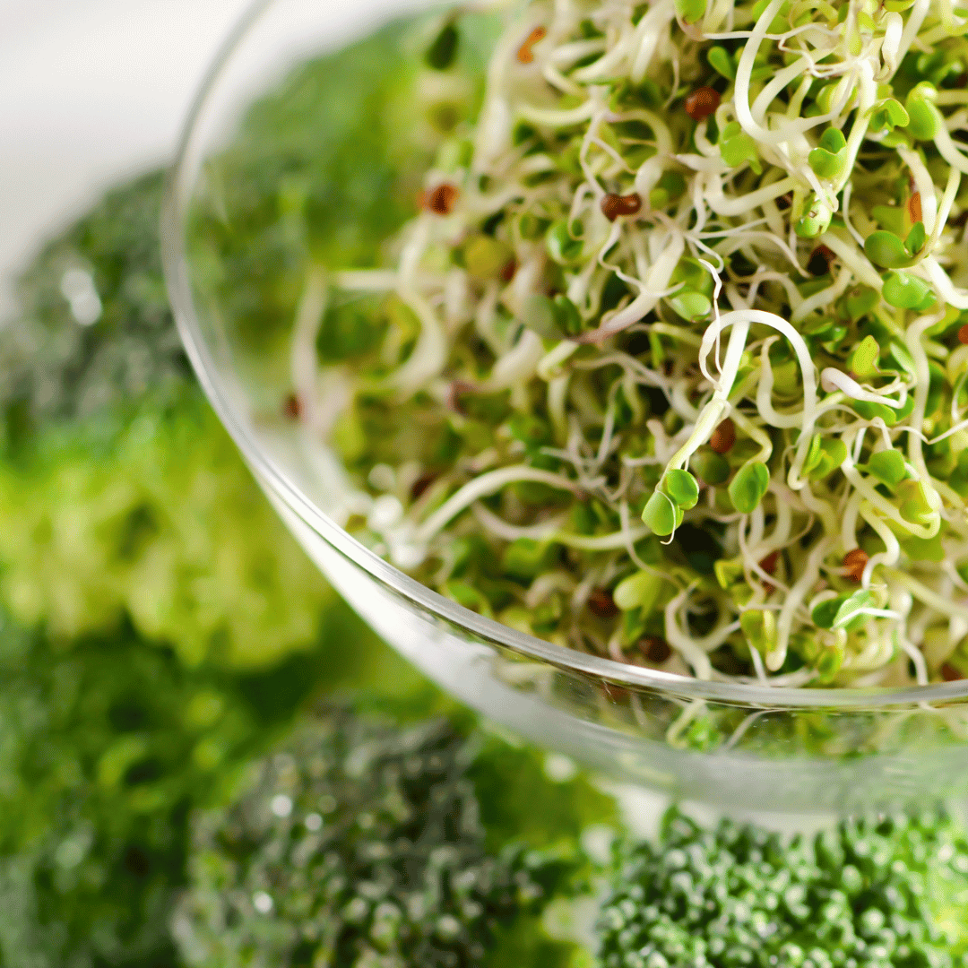 Broccoli Sprouts