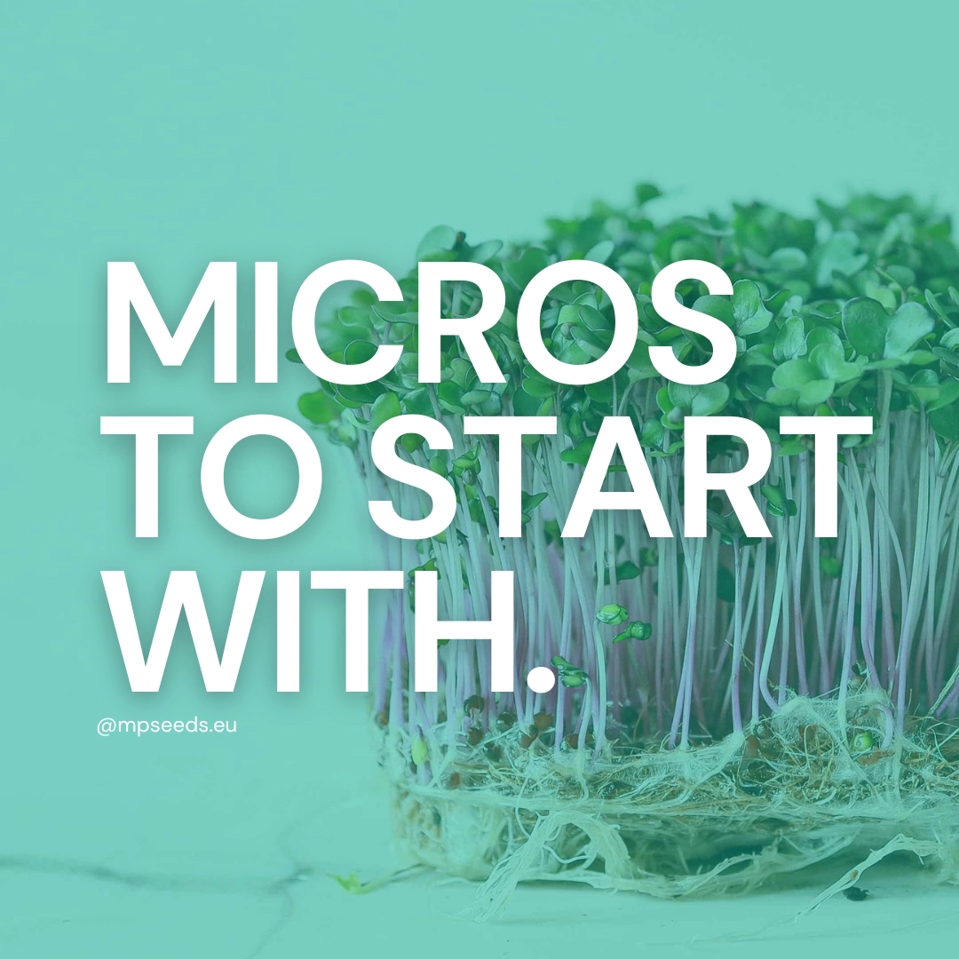 Microgreens for beginers- cover