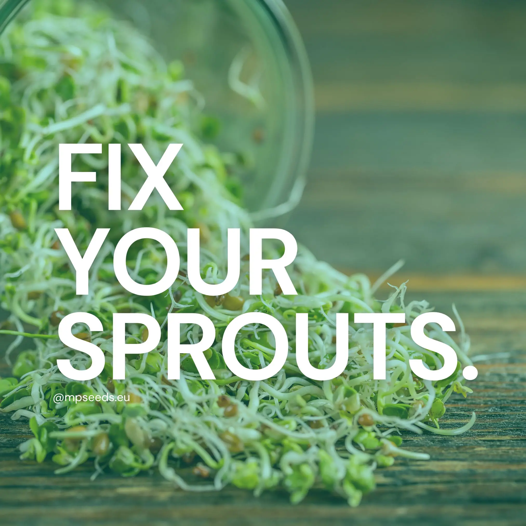 Why aren’t your sprouts growing? 