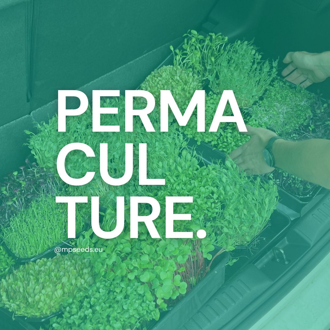Microgreens and Permaculture Ethics: Care for Earth, People, and Fair Share