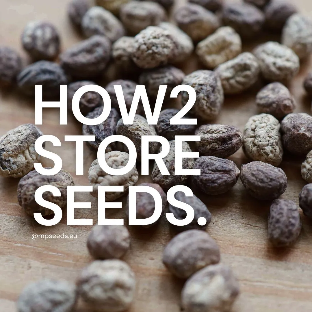 Seed Storage Solutions. What are the best practices for storing microgreens seeds?
